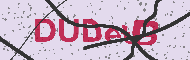 Güvenlik Kodu